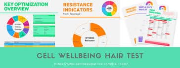 Haaranalyse van Cell wellbeing